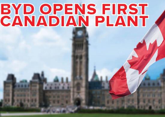 车价跳水在即!加拿大大幅消减中国电动车关税!这个品牌早已布局,或率先入市!