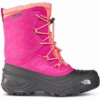 白菜价！The North Face北面换季清仓，全场2.5折起+额外8.5折！入1996经典款羽绒服8.09、雪地靴.07！