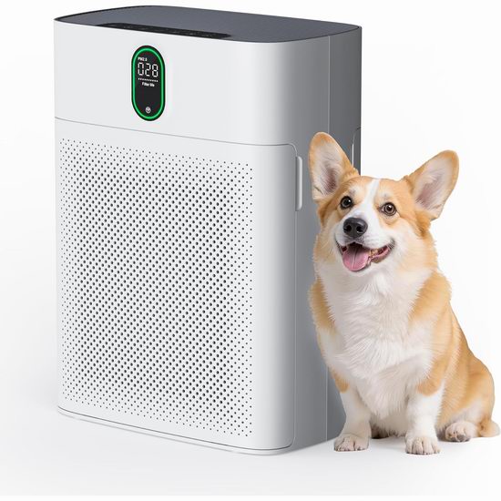  超级白菜！历史新低！Pureborne PM2.5监测 HEPA 大空间 家用空气净化器1.2折 69.59加元包邮！