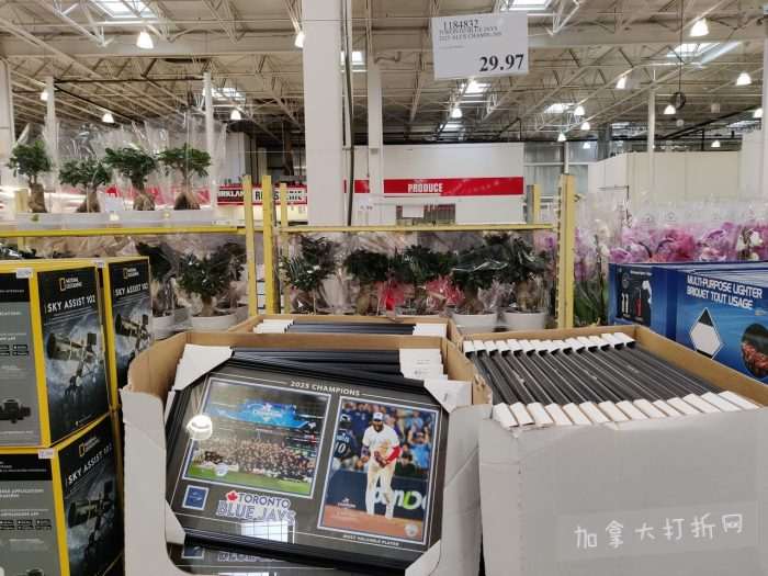 独家！【加东版】Costco店内实拍，有效期至1月25日！美的豆浆机.99、虎头衫.99、冰酒.99、雪肌精保湿.99、空气炸锅.99、吸顶灯.99、大白兔奶糖.99、蘑菇干.99！