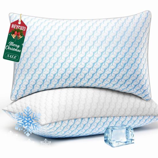  历史新低！HEYCUZI 酒店级仿羽绒Queen枕头2件套5.1折 36.71加元包邮！