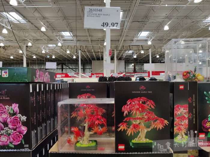 独家！【加东版】Costco店内实拍，有效期至2月1日！全脂奶粉.99、偏光太阳镜.97、青口.99、春卷.99、CK牛仔裤.97、增强免疫棒棒糖.99、血压计.99、保险柜9.99！