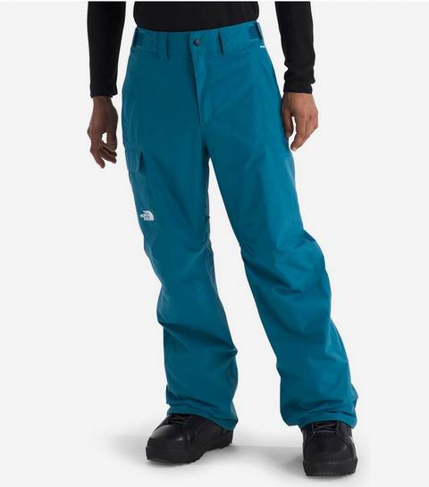  The North Face 男式 Freedom 雪裤 145加元（原价 239.99加元，L码）