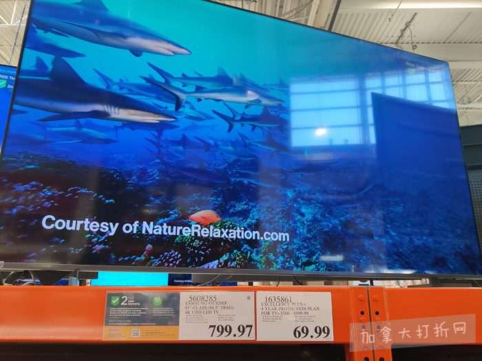 独家！【加东版】Costco店内实拍，有效期至2月8日！iPhone月供https://www.canadadz.com/wp-content/uploads/2026/02/2026020220153346-700x525.jpg、招财银柳.99、冰柜.99、海鲈鱼.99、阿迪鞋.97、加拿大队服.97、迷你香肠.99、午餐肉.99！