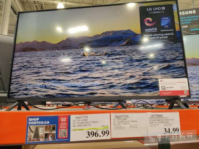 独家！【加东版】Costco店内实拍，有效期至2月8日！iPhone月供https://www.canadadz.com/wp-content/uploads/2026/02/2026020220160317-700x525.jpg、招财银柳.99、冰柜.99、海鲈鱼.99、阿迪鞋.97、加拿大队服.97、迷你香肠.99、午餐肉.99！