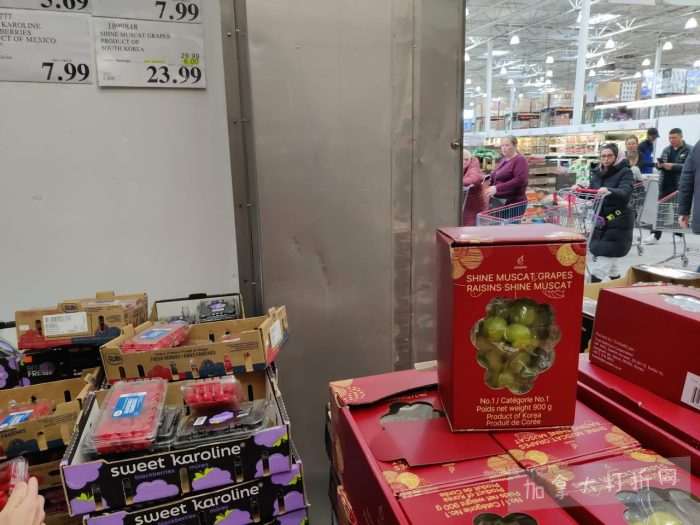 独家！【加东版】Costco店内实拍，有效期至2月8日！iPhone月供https://www.canadadz.com/wp-content/uploads/2026/02/2026020220204167-700x525.jpg、招财银柳.99、冰柜.99、海鲈鱼.99、阿迪鞋.97、加拿大队服.97、迷你香肠.99、午餐肉.99！