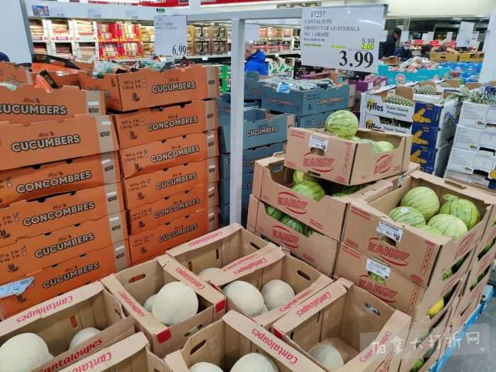 独家！【加东版】Costco店内实拍，有效期至2月8日！iPhone月供https://www.canadadz.com/wp-content/uploads/2026/02/2026020220204346-700x525.jpg、招财银柳.99、冰柜.99、海鲈鱼.99、阿迪鞋.97、加拿大队服.97、迷你香肠.99、午餐肉.99！