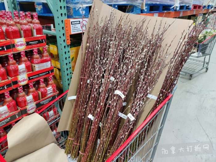 独家！【加东版】Costco店内实拍，有效期至2月8日！iPhone月供https://www.canadadz.com/wp-content/uploads/2026/02/2026020220230143-700x525.jpg、招财银柳.99、冰柜.99、海鲈鱼.99、阿迪鞋.97、加拿大队服.97、迷你香肠.99、午餐肉.99！