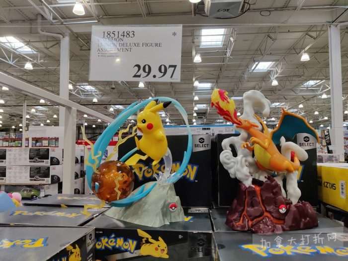 独家！【加东版】Costco店内实拍，有效期至2月8日！iPhone月供https://www.canadadz.com/wp-content/uploads/2026/02/2026020220235113-700x525.jpg、招财银柳.99、冰柜.99、海鲈鱼.99、阿迪鞋.97、加拿大队服.97、迷你香肠.99、午餐肉.99！