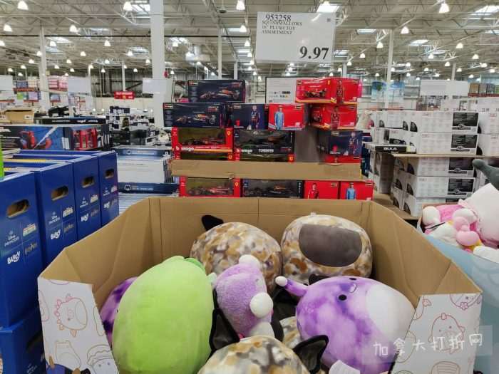 独家！【加东版】Costco店内实拍，有效期至2月8日！iPhone月供https://www.canadadz.com/wp-content/uploads/2026/02/2026020220240024-700x525.jpg、招财银柳.99、冰柜.99、海鲈鱼.99、阿迪鞋.97、加拿大队服.97、迷你香肠.99、午餐肉.99！