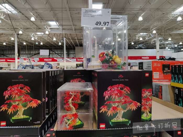 独家！【加东版】Costco店内实拍，有效期至2月8日！iPhone月供https://www.canadadz.com/wp-content/uploads/2026/02/2026020220241682-700x525.jpg、招财银柳.99、冰柜.99、海鲈鱼.99、阿迪鞋.97、加拿大队服.97、迷你香肠.99、午餐肉.99！