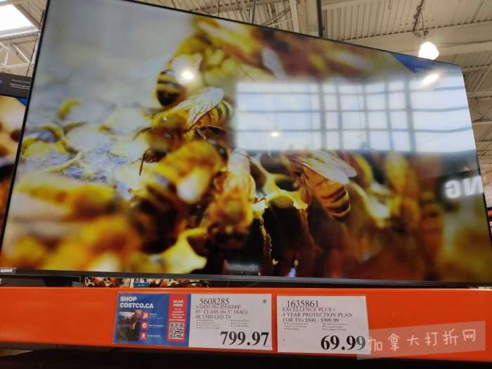 独家！【加东版】Costco店内实拍，有效期至2月15日！碧古鱼柳减、鲜虾减、越南龙眼.99、日式照烧饭.99、蜂蜜干果.99、暖炉滤网.99、费列罗巧克力.49、夜用卫生巾.49！