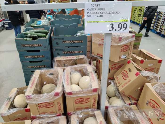 独家！【加东版】Costco店内实拍，有效期至2月15日！碧古鱼柳减、鲜虾减、越南龙眼.99、日式照烧饭.99、蜂蜜干果.99、暖炉滤网.99、费列罗巧克力.49、夜用卫生巾.49！