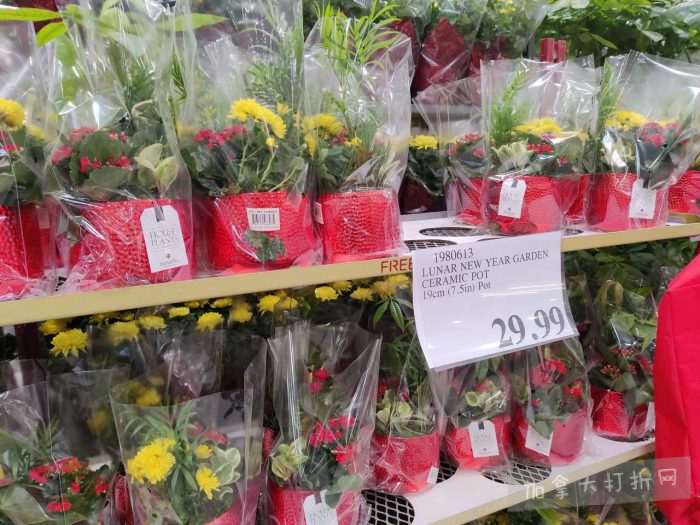 独家！【加东版】Costco店内实拍，有效期至2月15日！碧古鱼柳减、鲜虾减、越南龙眼.99、日式照烧饭.99、蜂蜜干果.99、暖炉滤网.99、费列罗巧克力.49、夜用卫生巾.49！