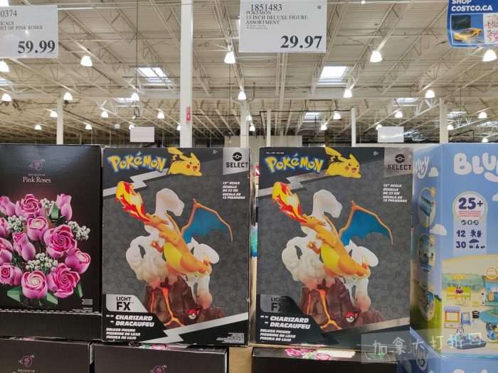 独家！【加东版】Costco店内实拍，有效期至3月1日！日本米酒.62、青口.99、虎头衫.97、免疫棒棒糖.97、杏仁奶.99、Glysomed护手霜.49、虾片.49、港式烧卖.49、豚骨面.99！