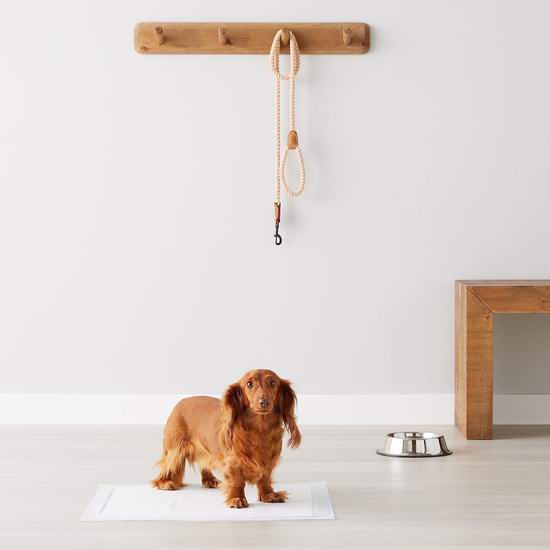 Amazon Basics 五层防漏 狗狗尿垫(150片)5.8折 33.24加元!