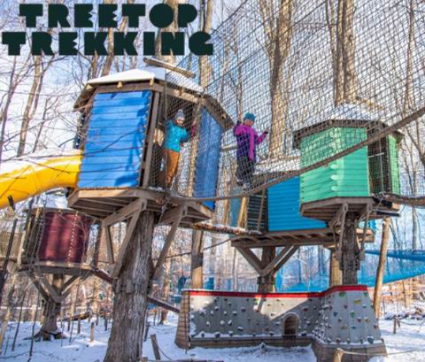  Treetop Trekking 体验独一无二的森林冒险之旅 1大1小门票 22.59加元(原价 41.8加元)