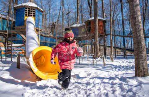 Treetop Trekking 体验独一无二的森林冒险之旅 1大1小门票 22.59加元(原价 41.8加元)