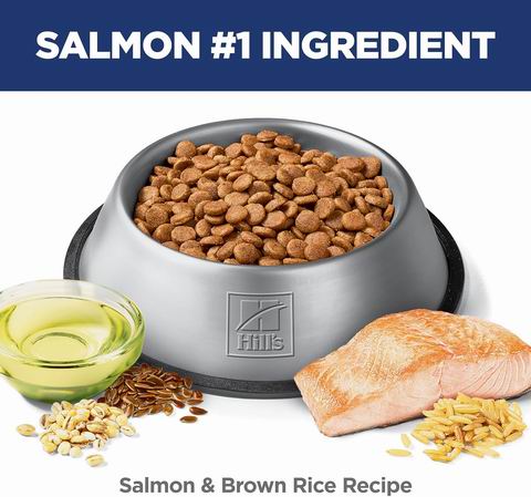 Hill's Science Diet 幼犬敏感肠胃及皮肤配方 三文鱼糙米口味5.89公斤 37.99加元(原价 85.99加元)