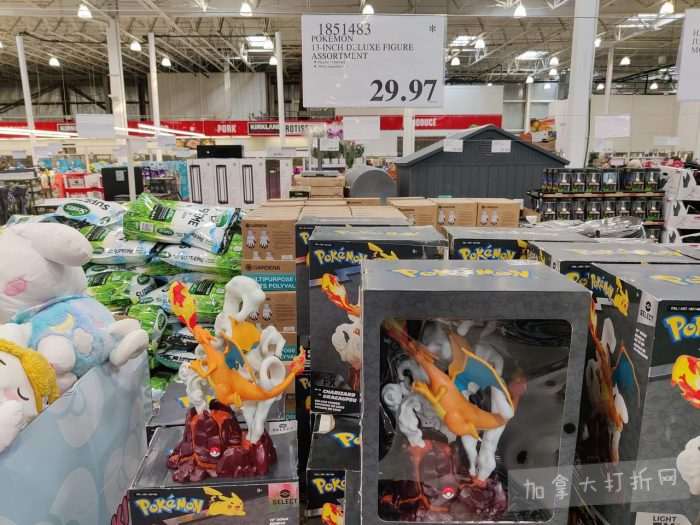 独家！【加东版】Costco店内实拍，有效期至3月8日！UGG毛毯19.99、鳕鱼片.99、奶油蜂蜜.49、枕头2件.99、TOTO马桶盖9.99、配方奶粉.99、手袋.99、猪排骨减！