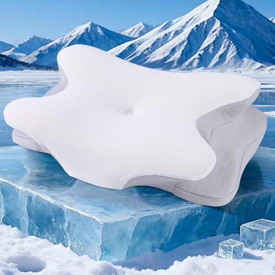  历史新低！Guttylief 凉爽丝绸 记忆海绵枕头/颈椎枕4.1折 28.59加元包邮！