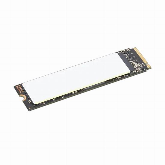 抢到赚到！Bug超级白菜！联想 ThinkPad 1TB PCIe Gen4 高性能SSD固态硬盘2.2折 66.99加元包邮！