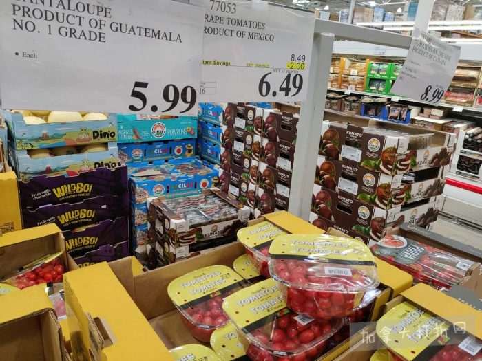 独家！【加东版】Costco店内实拍，有效期至3月15日！免费薅iPhone 16、麦芦卡蜂蜜.99、蜂蜜干果.99、烟熏三文鱼粒.99、燕麦保湿乳.99、毛毛外套.97、淋浴收纳架.99！