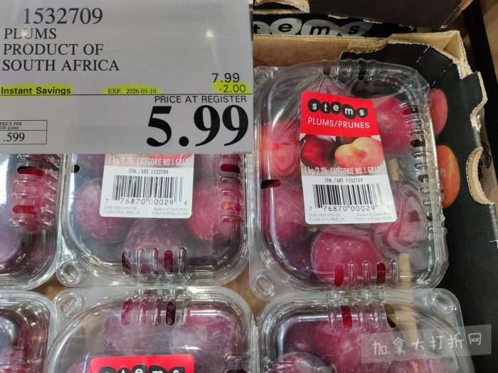 独家！【加东版】Costco店内实拍，有效期至3月15日！免费薅iPhone 16、麦芦卡蜂蜜.99、蜂蜜干果.99、烟熏三文鱼粒.99、燕麦保湿乳.99、毛毛外套.97、淋浴收纳架.99！