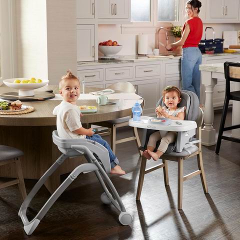  Graco DuoDiner 6合1 DLX 婴儿餐椅 199.99加元（原价 238.05加元）