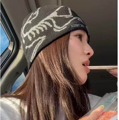 王一博同款不同色！Arc'teryx 始祖鸟 男女通用 鸟头针织帽/冷帽 70加元+包邮