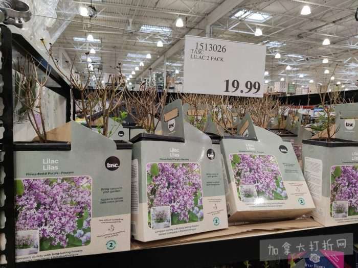 独家！【加东版】Costco店内实拍，有效期至3月22日！雅顿啵啵胶.99、虎头衫.97、冰糖梨.97、酸奶冰淇淋.99、蝴蝶虾.49、休闲鞋.97、水牙线.99、空气炸锅.97、大白兔奶糖.97！