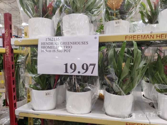 独家！【加东版】Costco店内实拍，有效期至3月22日！雅顿啵啵胶.99、虎头衫.97、冰糖梨.97、酸奶冰淇淋.99、蝴蝶虾.49、休闲鞋.97、水牙线.99、空气炸锅.97、大白兔奶糖.97！