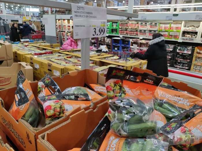 独家！【加东版】Costco店内实拍，有效期至3月29日！iPhone 17月供、大量服饰清仓、蛋白奶昔2.5折、火锅豆腐卷.99、三文鱼.99、行李箱.99、大红瓶.99、润喉糖.49！