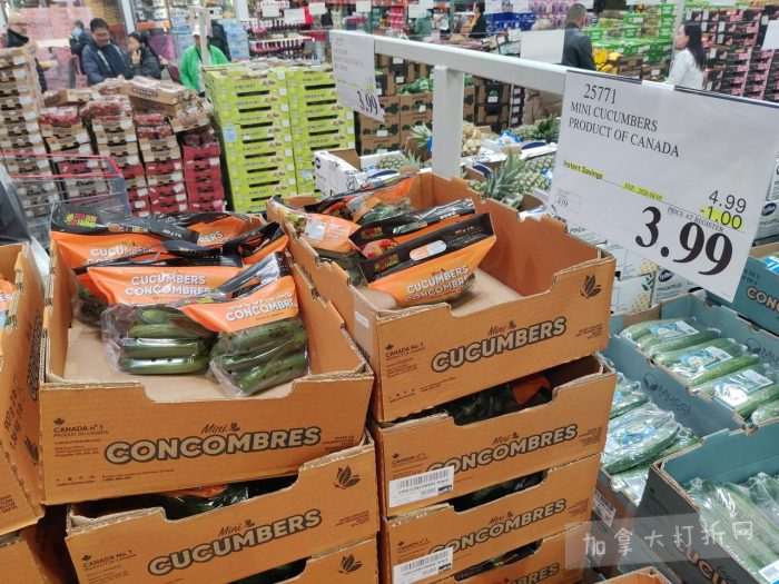 独家!【加东版】Costco店内实拍,有效期至4月5日!维C冲剂.49、热水壶.99、厨房刀组.99、罗非鱼柳减、休闲裤.97、枕头.99、储物箱.99、哈根达斯.99、歌帝梵巧克力.99!