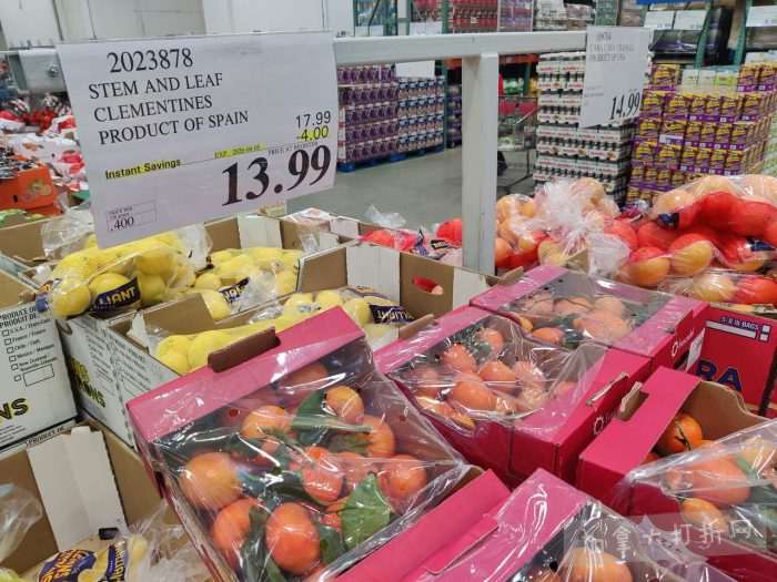 独家!【加东版】Costco店内实拍,有效期至4月5日!维C冲剂.49、热水壶.99、厨房刀组.99、罗非鱼柳减、休闲裤.97、枕头.99、储物箱.99、哈根达斯.99、歌帝梵巧克力.99!