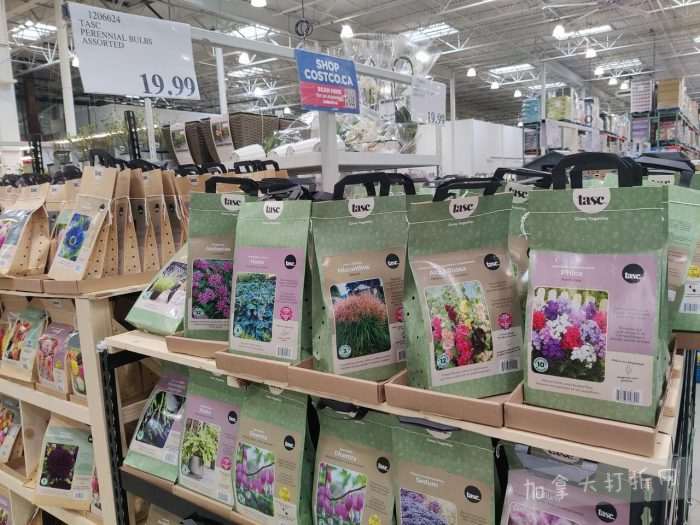独家!【加东版】Costco店内实拍,有效期至4月5日!维C冲剂.49、热水壶.99、厨房刀组.99、罗非鱼柳减、休闲裤.97、枕头.99、储物箱.99、哈根达斯.99、歌帝梵巧克力.99!