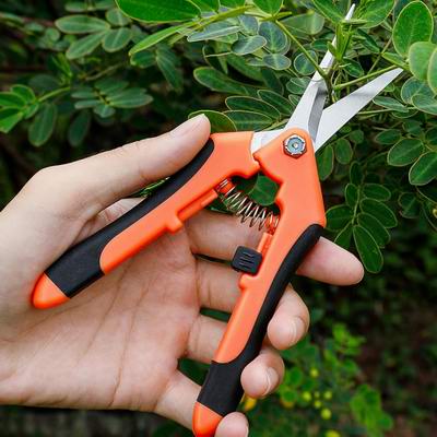 白菜价！Amazon Haul 低价商城，精选居家用品、电子产品、服饰、美妆等src=