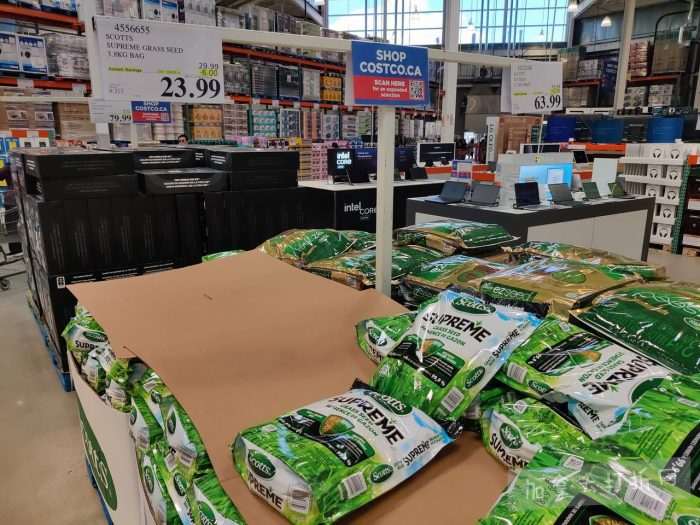 独家！【加东版】Costco店内实拍，有效期至4月26日！花卉市场开放、Nike运动鞋.97、加拿大夹克.99、雀巢冰淇淋.99、脆皮鸡翅.99、FIFA足球套装.99、暖炉滤网.99！