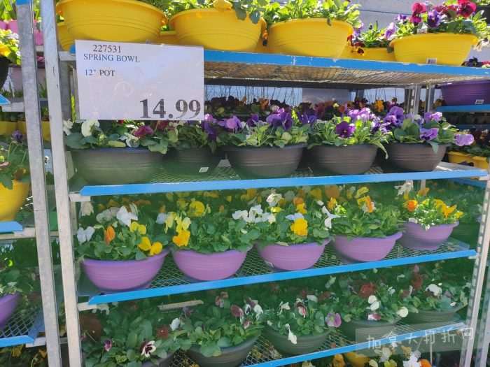 独家！【加东版】Costco店内实拍，有效期至4月26日！花卉市场开放、Nike运动鞋.97、加拿大夹克.99、雀巢冰淇淋.99、脆皮鸡翅.99、FIFA足球套装.99、暖炉滤网.99！