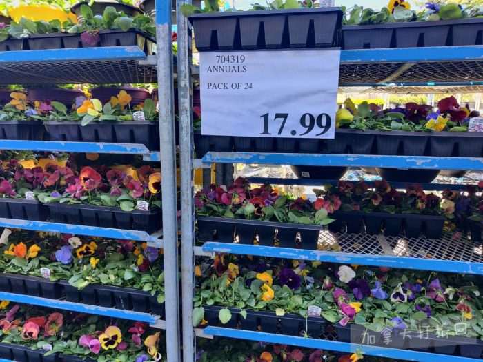 独家！【加东版】Costco店内实拍，有效期至4月26日！花卉市场开放、Nike运动鞋.97、加拿大夹克.99、雀巢冰淇淋.99、脆皮鸡翅.99、FIFA足球套装.99、暖炉滤网.99！