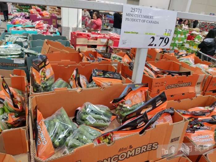 独家！【加东版】Costco店内实拍，有效期至4月26日！花卉市场开放、Nike运动鞋.97、加拿大夹克.99、雀巢冰淇淋.99、脆皮鸡翅.99、FIFA足球套装.99、暖炉滤网.99！