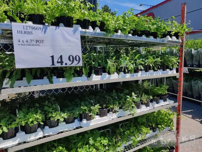 独家！【加东版】Costco店内实拍，有效期至5月3日！雅顿面霜.99、蜂蜜干果.49、花园水管.99、澳洲羊腿减、果树.99、可丽饼蛋糕.99、燕麦保湿乳.99、苹果汁.49！