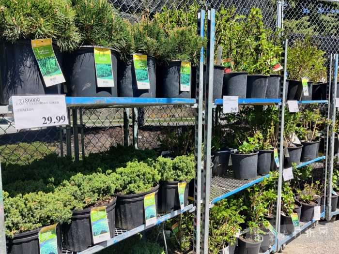 独家！【加东版】Costco店内实拍，有效期至5月3日！雅顿面霜.99、蜂蜜干果.49、花园水管.99、澳洲羊腿减、果树.99、可丽饼蛋糕.99、燕麦保湿乳.99、苹果汁.49！