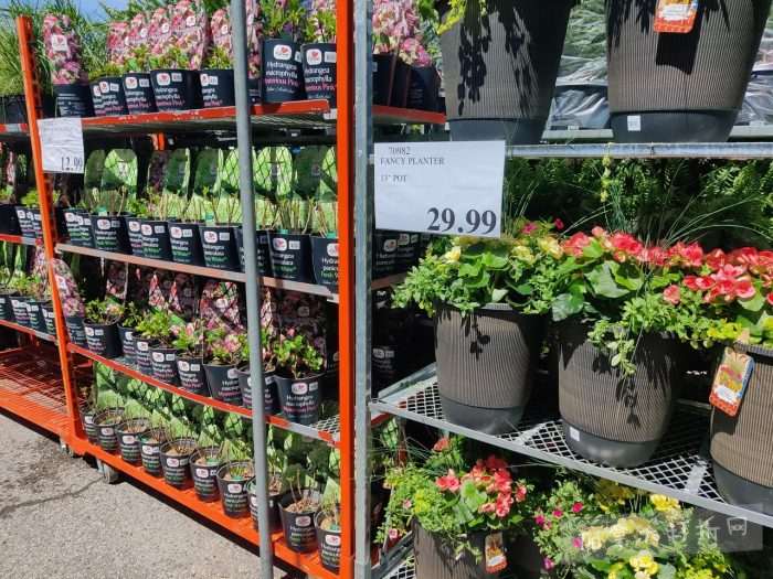 独家！【加东版】Costco店内实拍，有效期至5月3日！雅顿面霜.99、蜂蜜干果.49、花园水管.99、澳洲羊腿减、果树.99、可丽饼蛋糕.99、燕麦保湿乳.99、苹果汁.49！