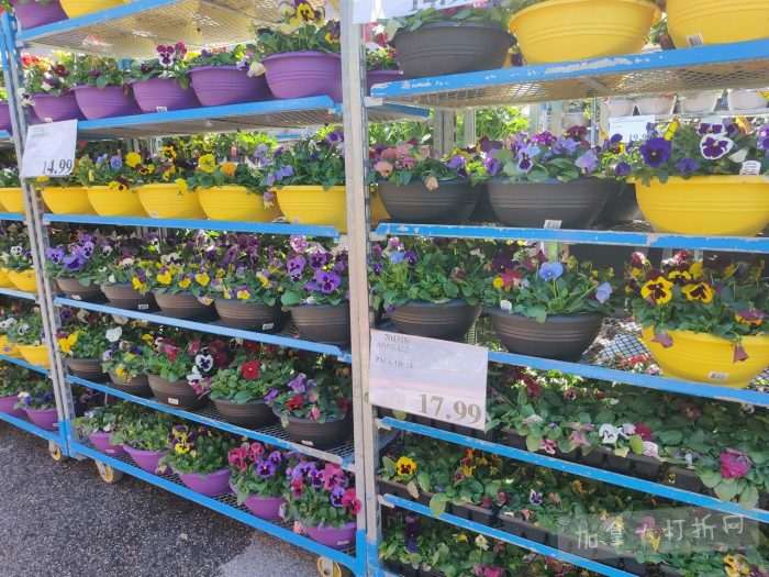 独家！【加东版】Costco店内实拍，有效期至5月3日！雅顿面霜.99、蜂蜜干果.49、花园水管.99、澳洲羊腿减、果树.99、可丽饼蛋糕.99、燕麦保湿乳.99、苹果汁.49！