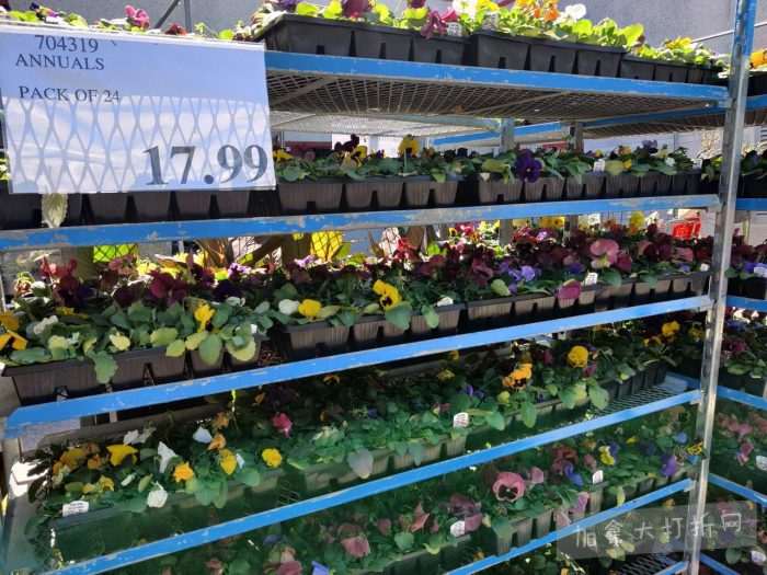 独家！【加东版】Costco店内实拍，有效期至5月3日！雅顿面霜.99、蜂蜜干果.49、花园水管.99、澳洲羊腿减、果树.99、可丽饼蛋糕.99、燕麦保湿乳.99、苹果汁.49！