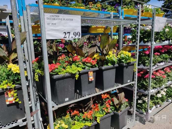 独家！【加东版】Costco店内实拍，有效期至5月3日！雅顿面霜.99、蜂蜜干果.49、花园水管.99、澳洲羊腿减、果树.99、可丽饼蛋糕.99、燕麦保湿乳.99、苹果汁.49！