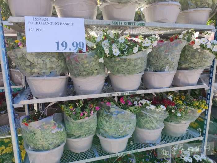 独家！【加东版】Costco店内实拍，有效期至5月3日！雅顿面霜.99、蜂蜜干果.49、花园水管.99、澳洲羊腿减、果树.99、可丽饼蛋糕.99、燕麦保湿乳.99、苹果汁.49！