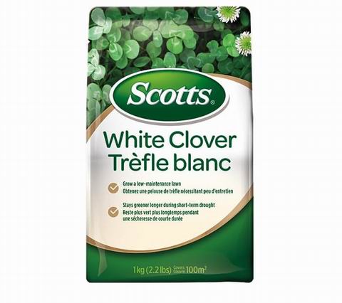  Scotts 白三叶草草坪种子1公斤装（覆盖1100平方英尺）18.15加元（原价 28.96加元）