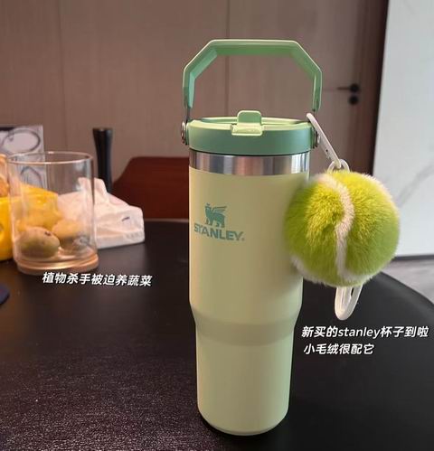  Stanley 史丹利 IceFlow 2.0  30盎司翻盖吸管杯 34.5加元（原价 46加元）